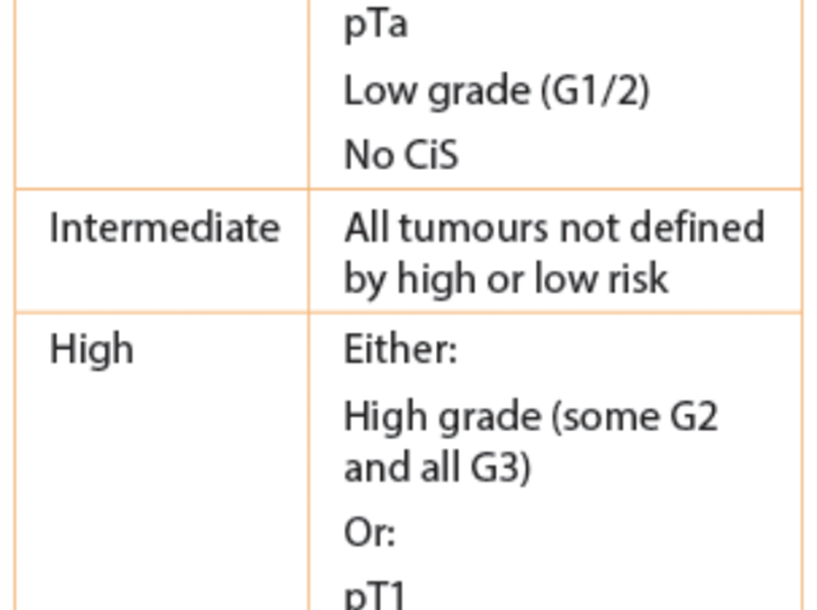 Bladder Cancer Where Are We With Intravesical Therapies Urology Of V