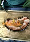 Trainees surgery photo