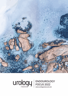 Endourology Focus 2022