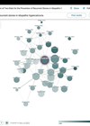 Connected Papers platform image.