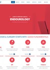Endourology Academy web page.